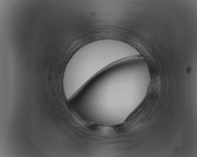 X0000097760333200803070842
