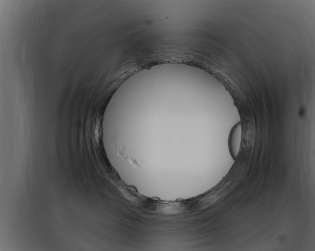 X0000097760334200803070842