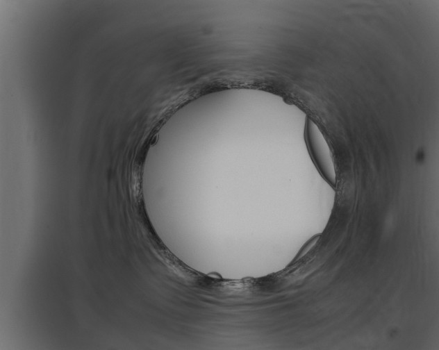 X0000097760335200803070842