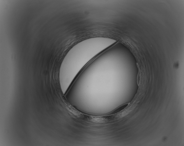 X0000097760336200803070842