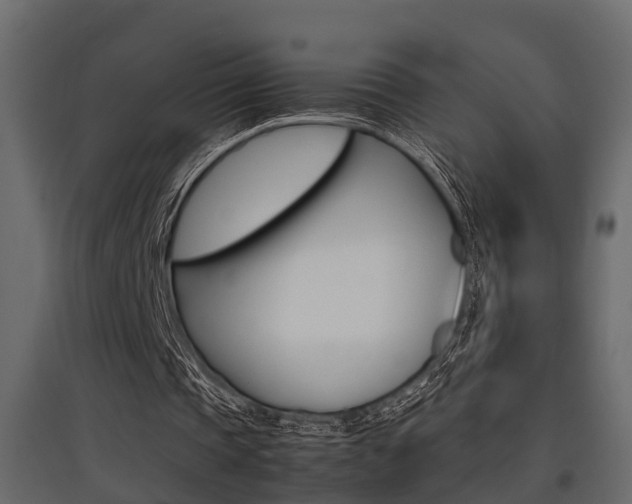 X0000097760337200803070842