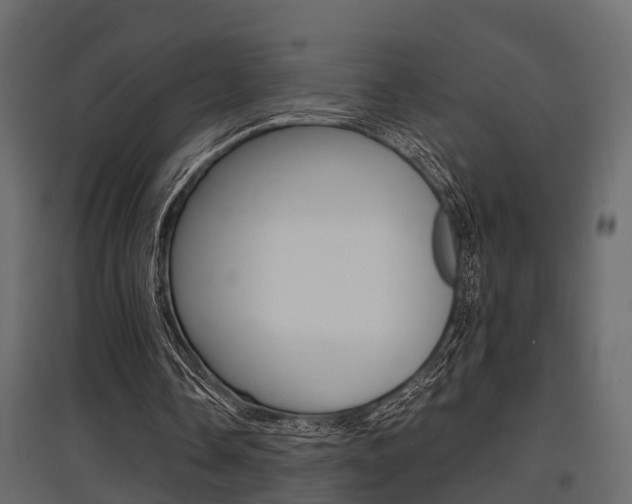 X0000097760338200803070842