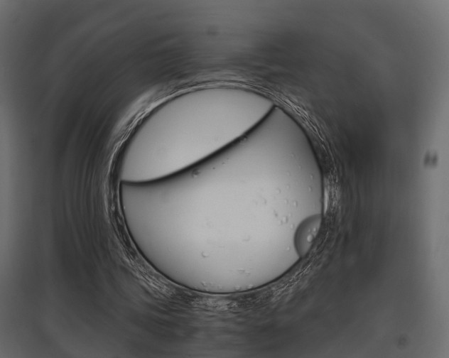 X0000097760339200803070842