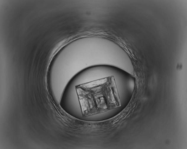 X0000097760340200803070842