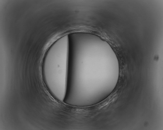 X0000097760341200803070842