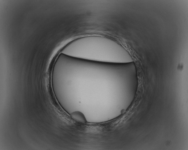X0000097760342200803070842