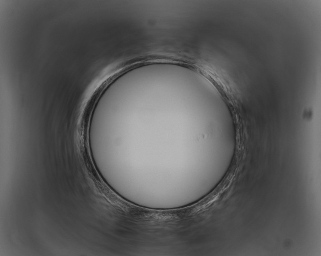 X0000097760343200803070842