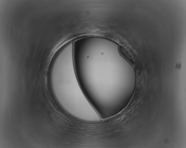 X0000097760344200803070842