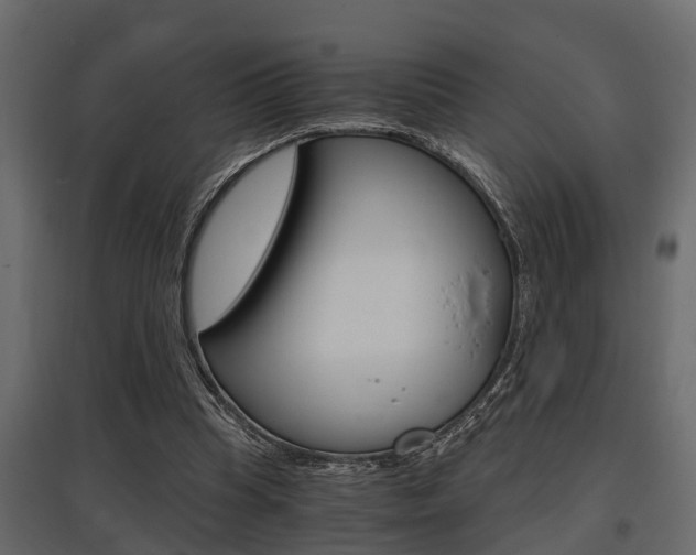 X0000097760345200803070842