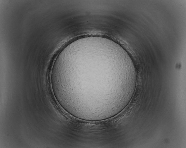 X0000097760347200803070842
