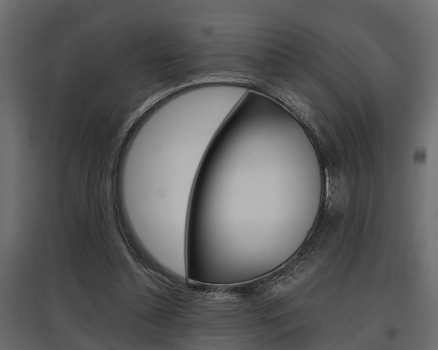 X0000097760348200803070842