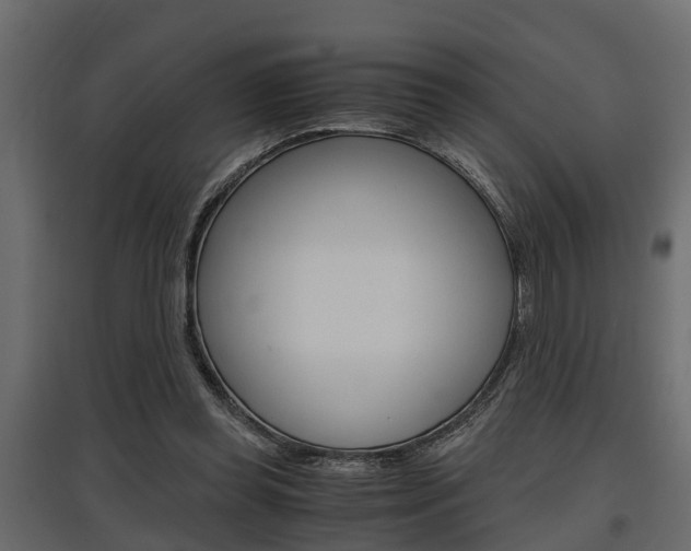 X0000097760349200803070842