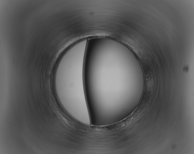 X0000097760350200803070842