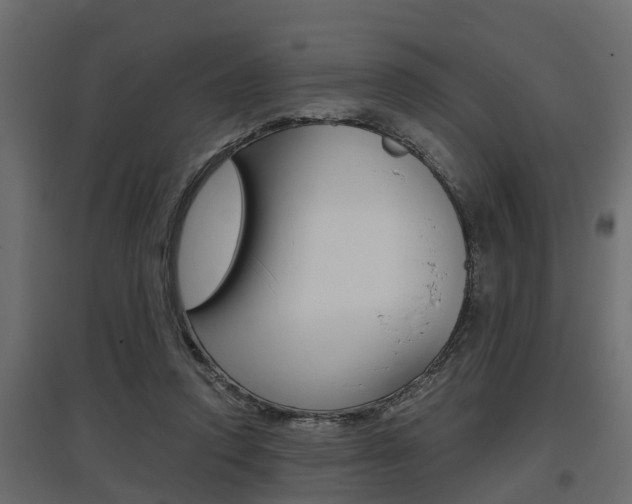 X0000097760354200803070842