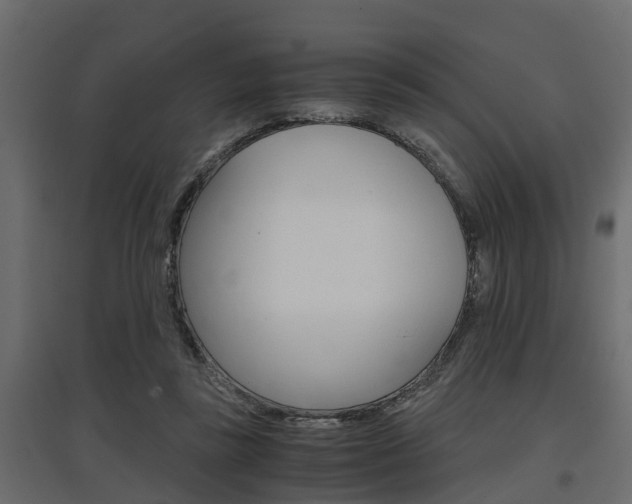 X0000097760355200803070842