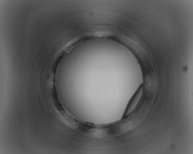 X0000097760356200803070842