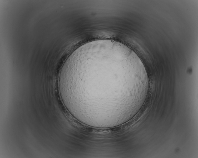 X0000097760359200803070842
