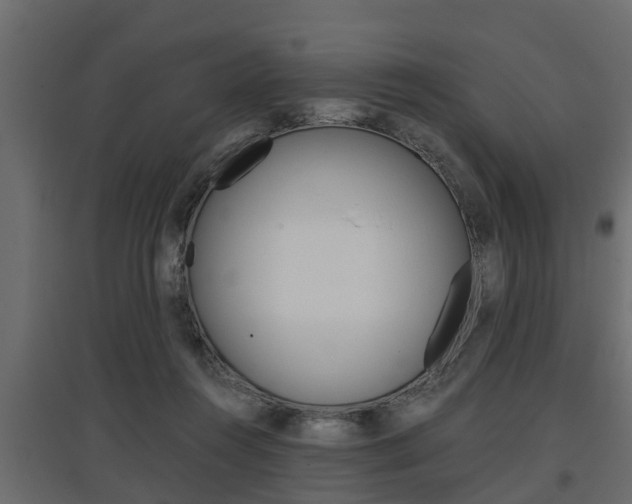 X0000097760360200803070842