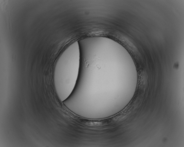 X0000097760361200803070842