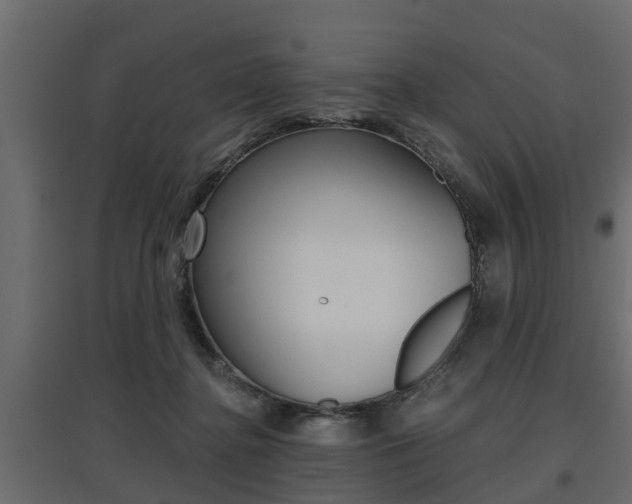 X0000097760364200803070842