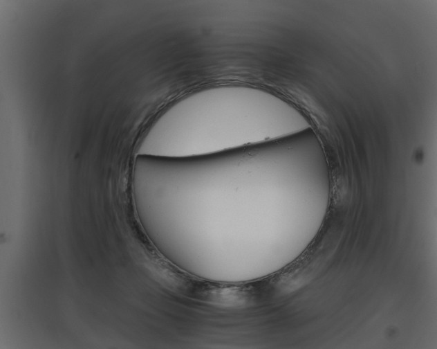 X0000097760365200803070842