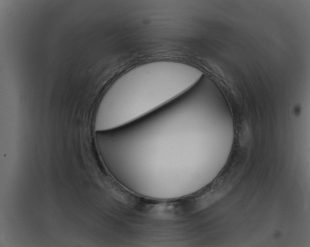 X0000097760366200803070842