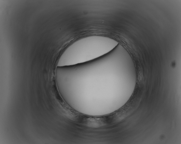 X0000097760367200803070842