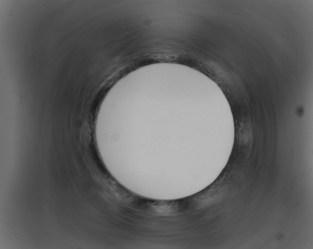 X0000097760370200803070842