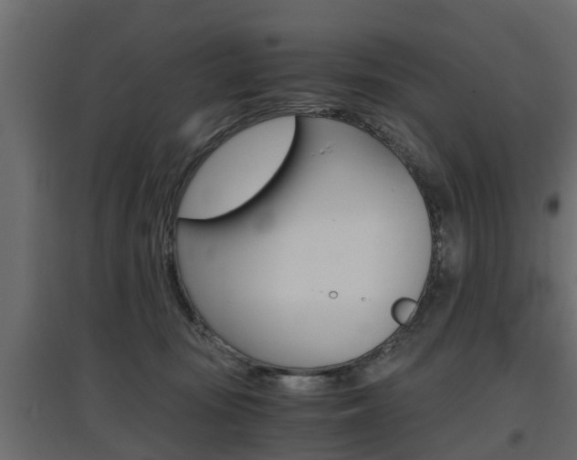 X0000097760371200803070842