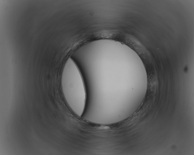 X0000097760374200803070842