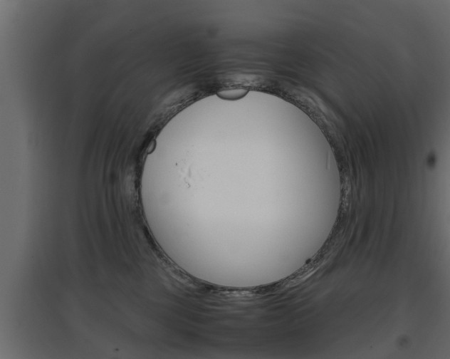 X0000097760377200803070842