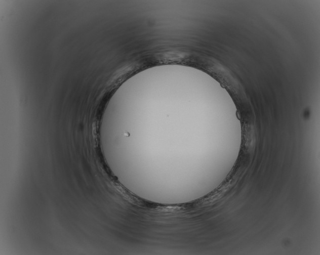 X0000097760378200803070842