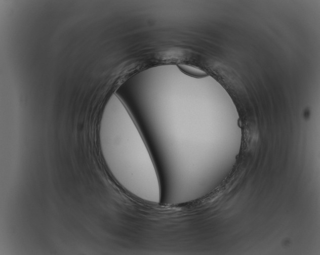 X0000097760379200803070842