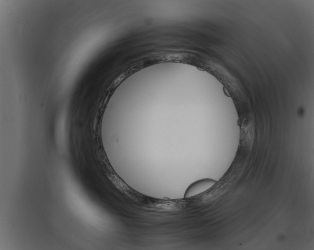 X0000097760381200803070842