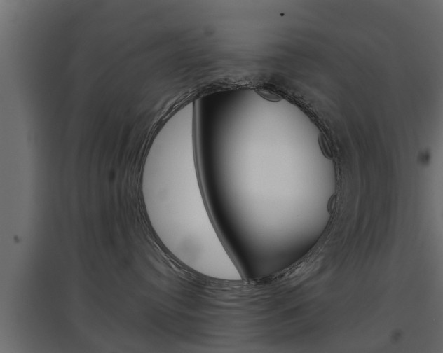X0000097760384200803070842