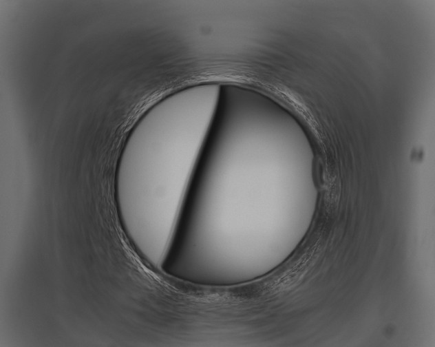 X0000097760385200803070842