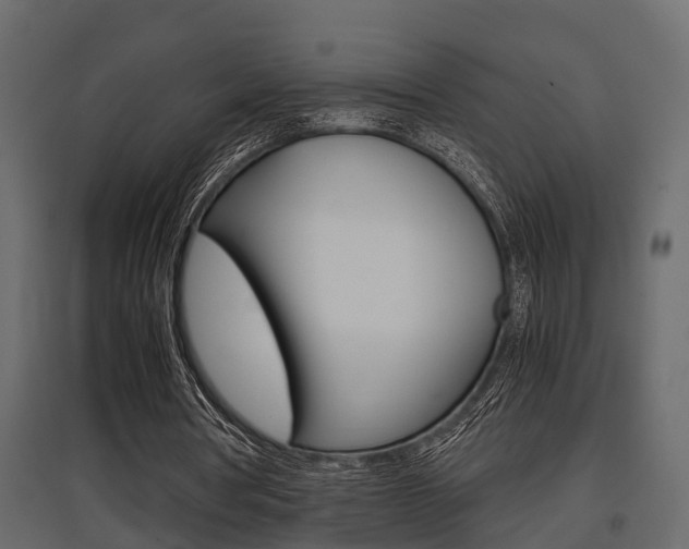 X0000097760386200803070842