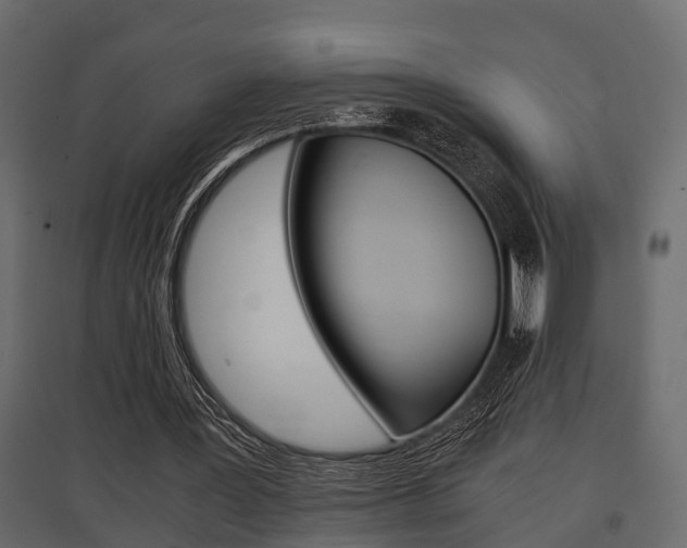 X0000097760387200803070842