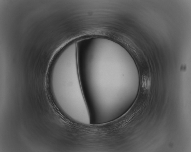 X0000097760388200803070841