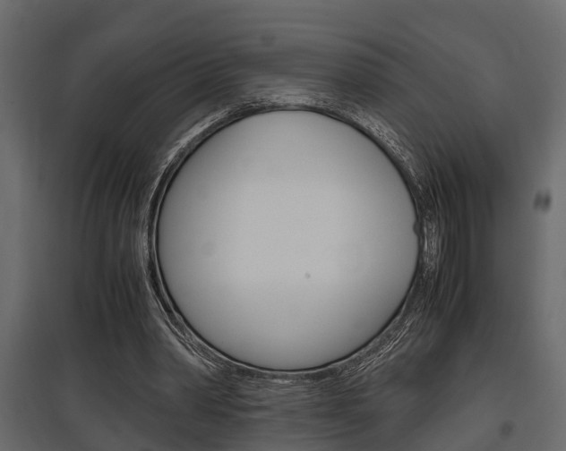 X0000097760390200803070841