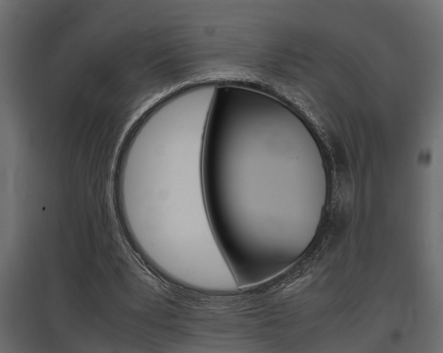 X0000097760391200803070841