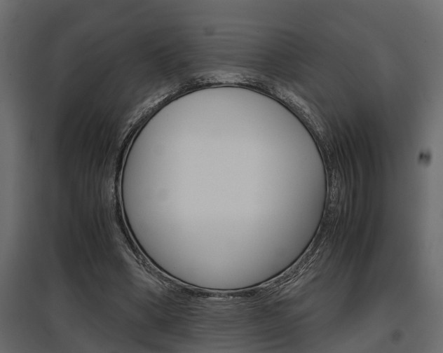 X0000097760394200803070841