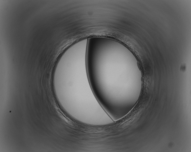 X0000097760397200803070841