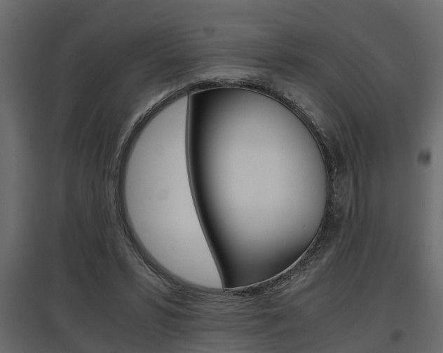 X0000097760399200803070841