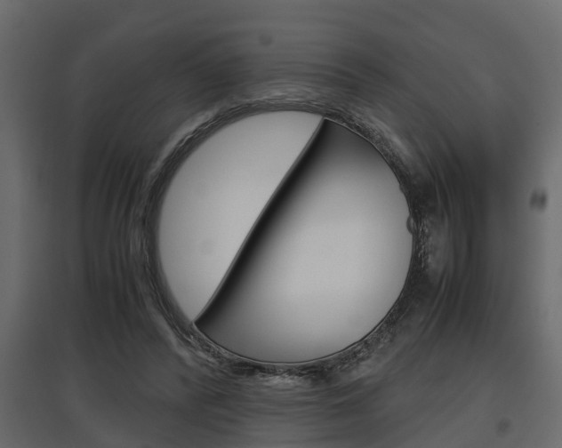 X0000097760400200803070841
