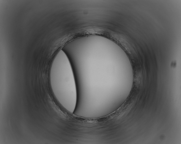 X0000097760402200803070841