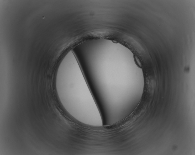 X0000097760404200803070841