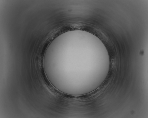 X0000097760408200803070841