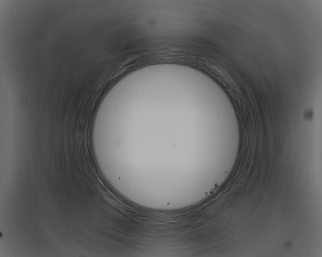 X0000097760409200803070841