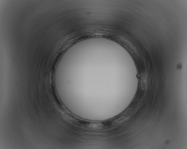 X0000097760410200803070841